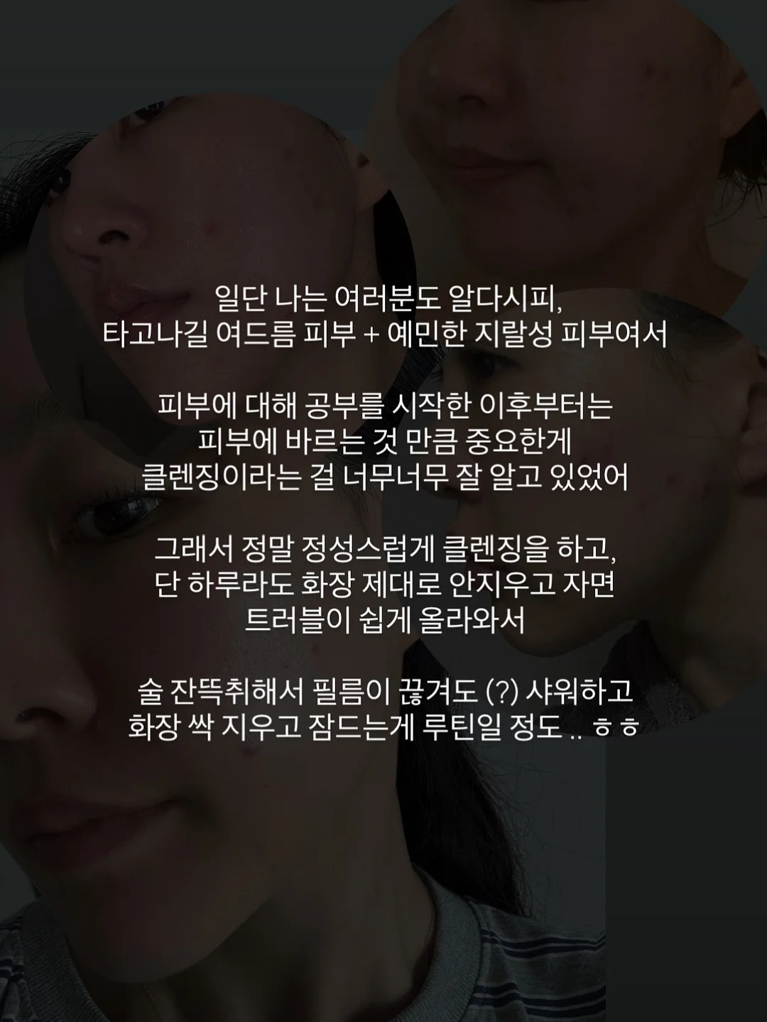 오토x가든킹 식물 6
