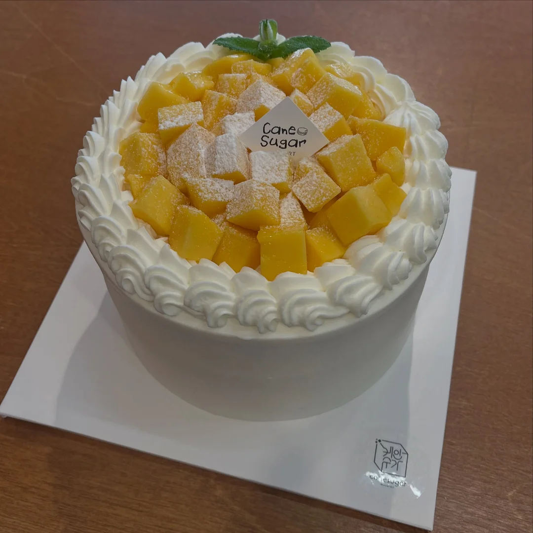 Wordmelon 영어 학습기 2