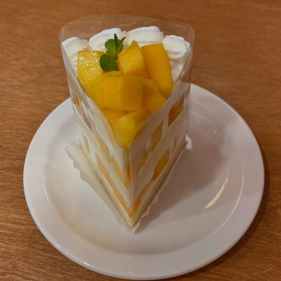 Wordmelon 영어 학습기 3