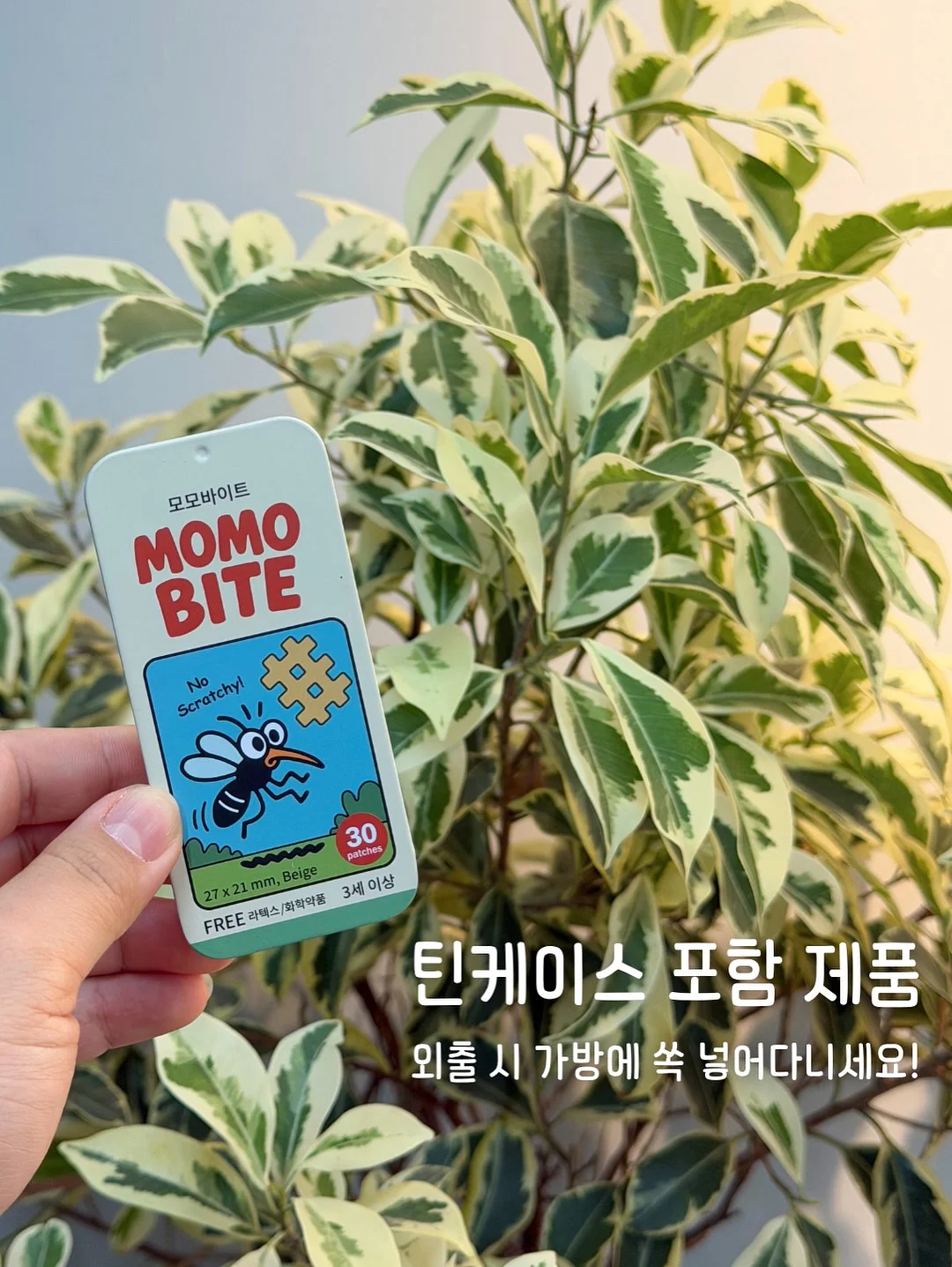 피조개 스시 3