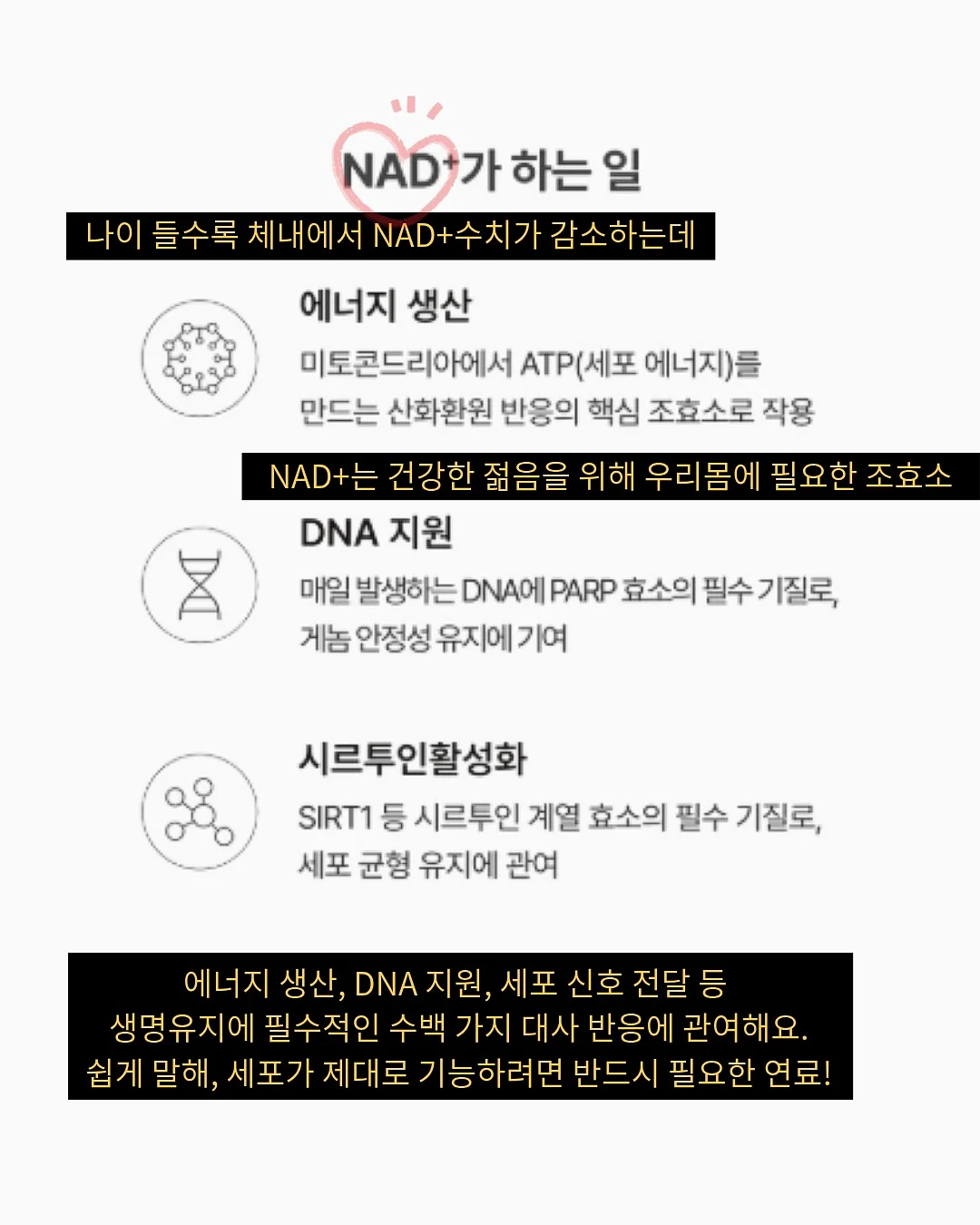 할머니와 절기밥상 3