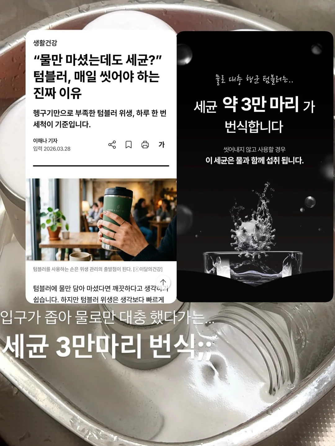 오복소점 손질 대품 두릅 3