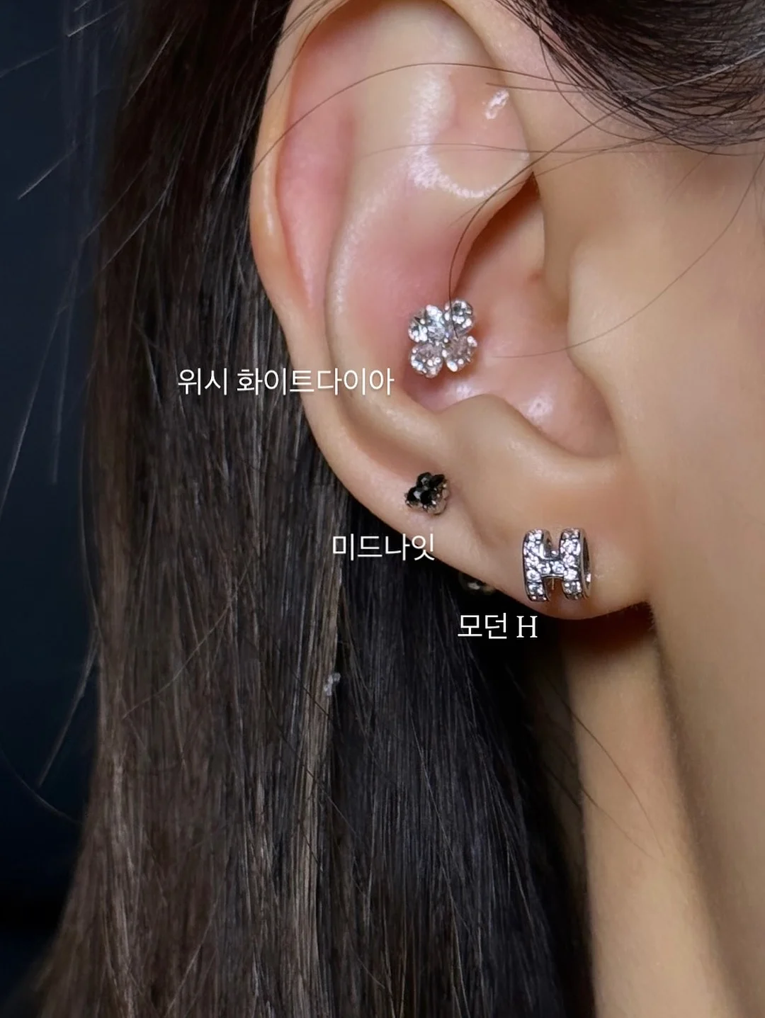 보테가 위빙백 10