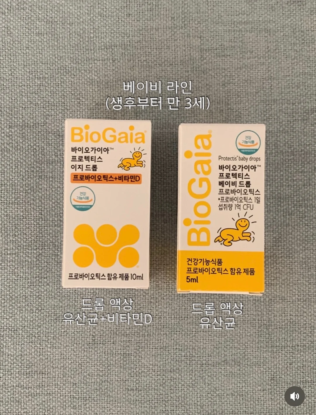 올리브 오일 5