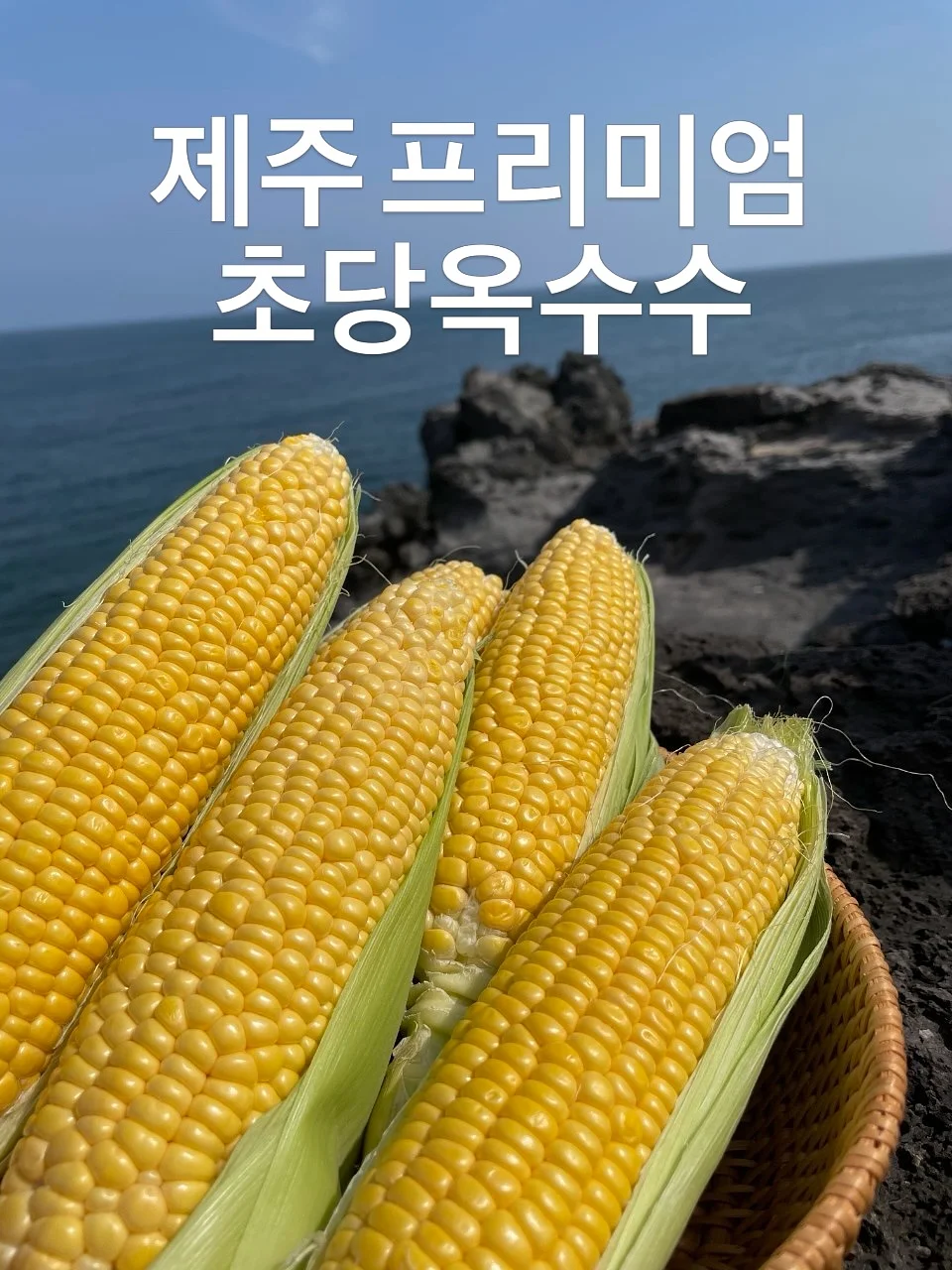 노아하우스 베이글산도 1