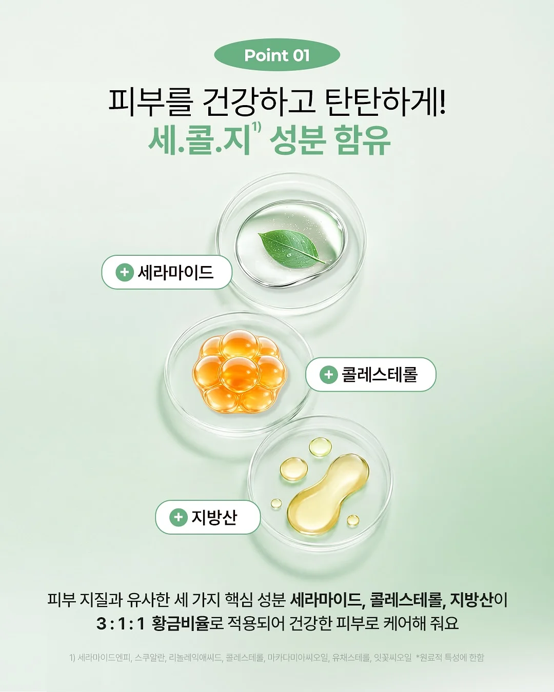 오라식탁 6