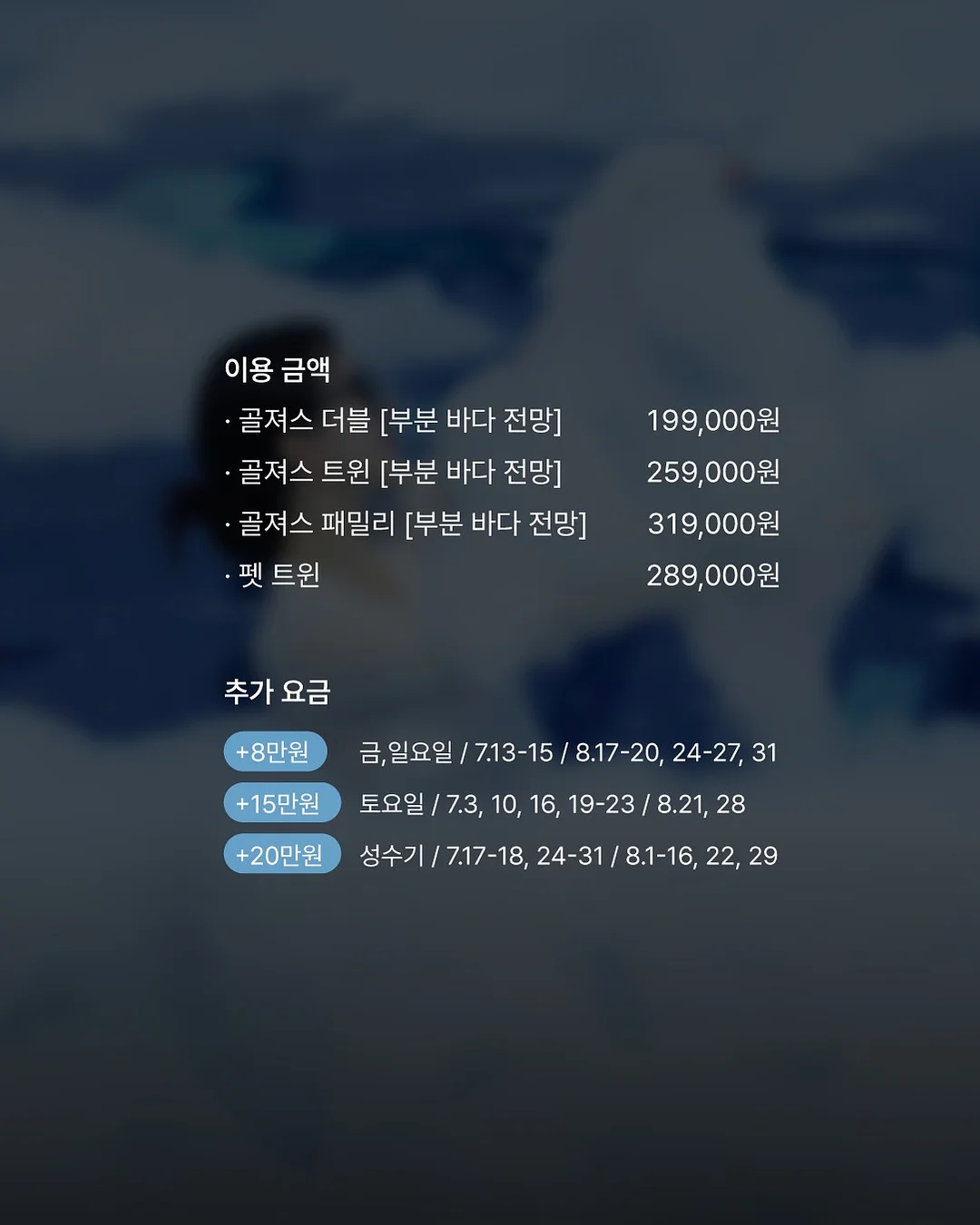 커피 얼음 트레이 3