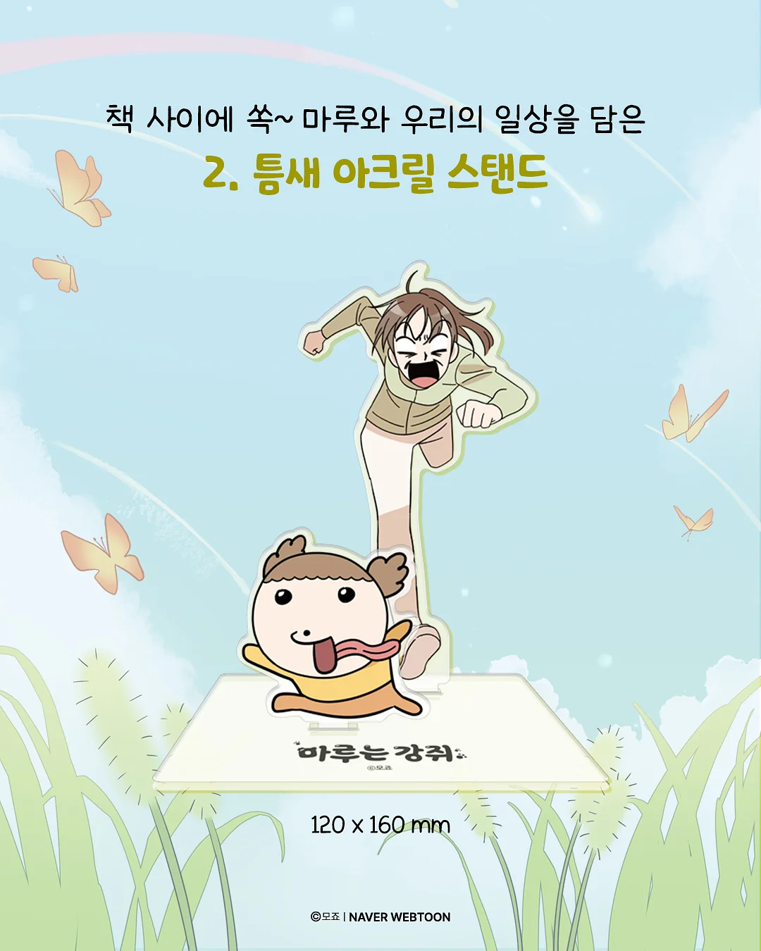드타미프로젝트 여름 비니 3