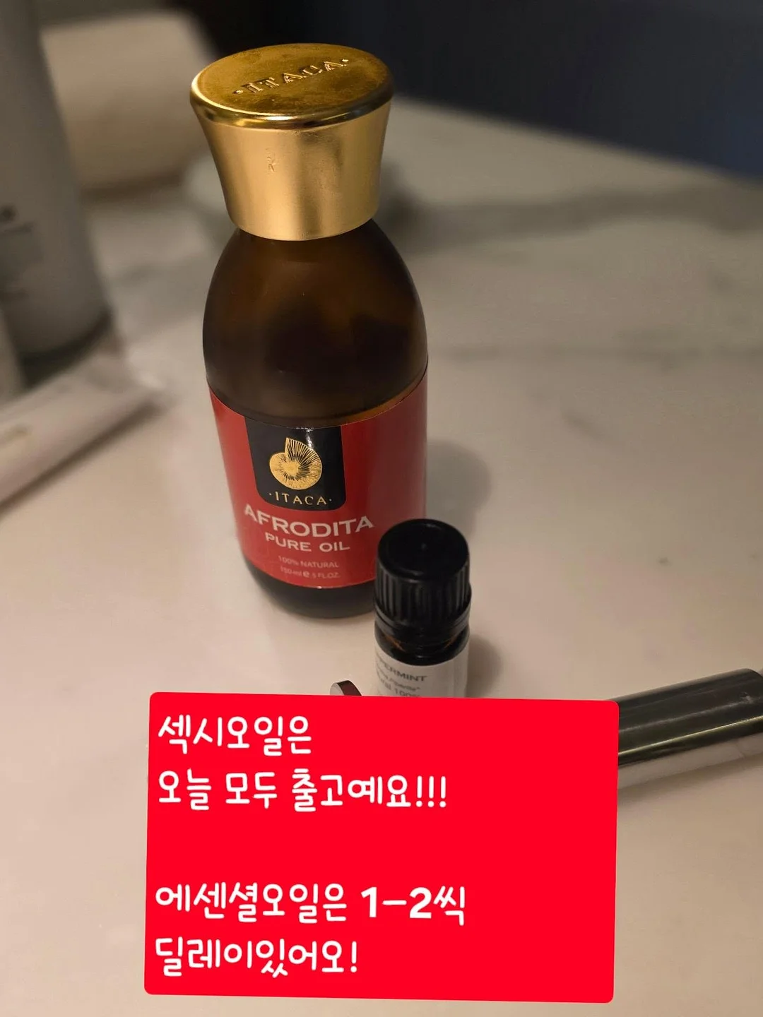덴프스 유산균이야기