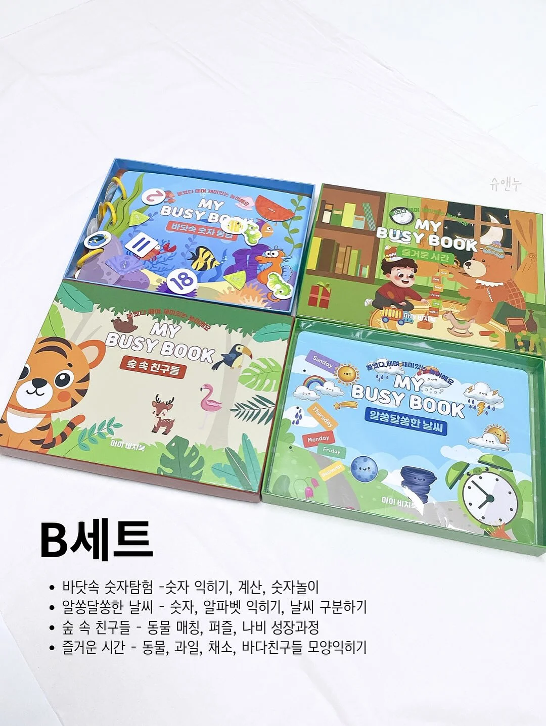 안델센 V3 웨건 12