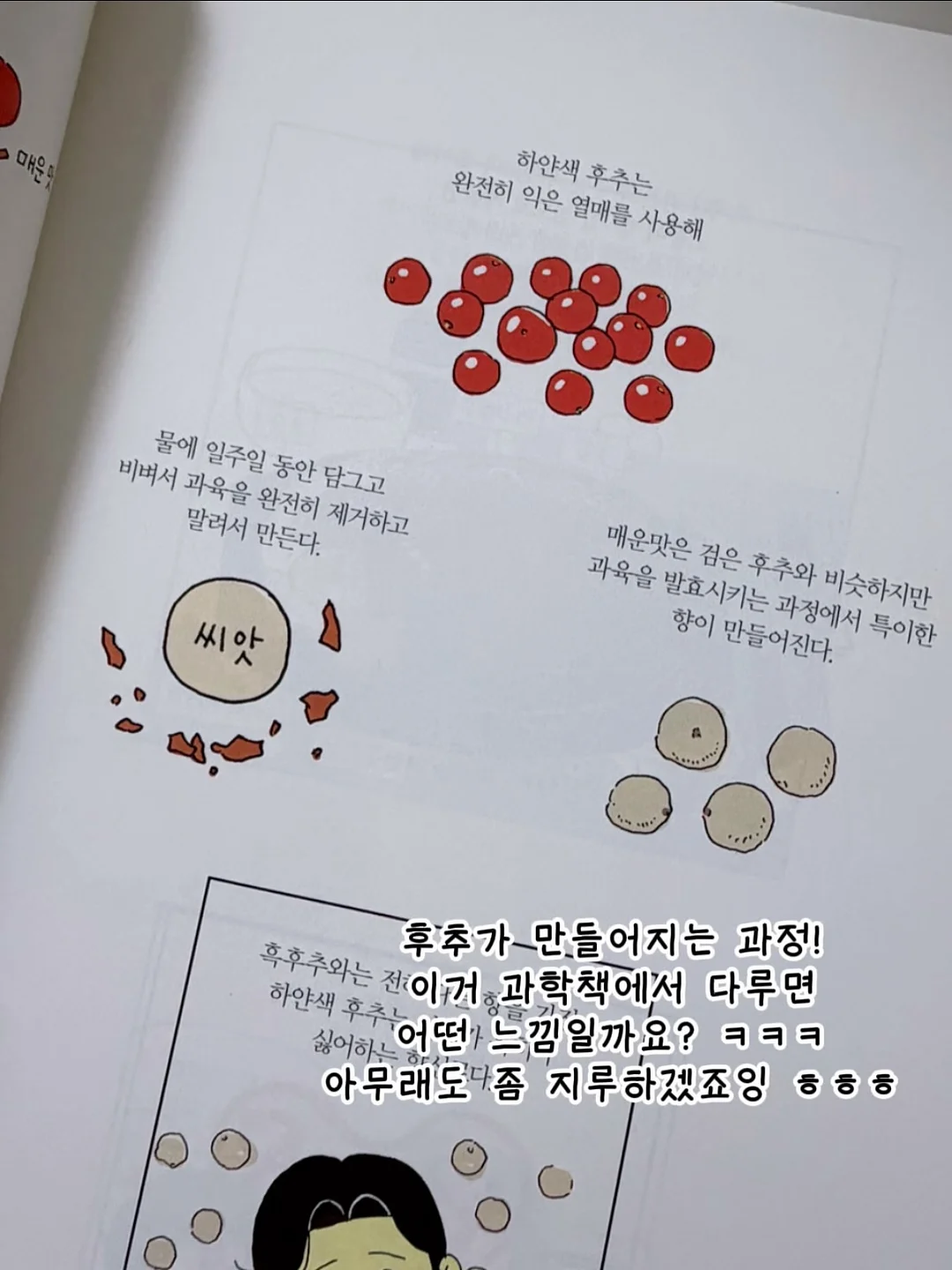 눈썹 반영구 8