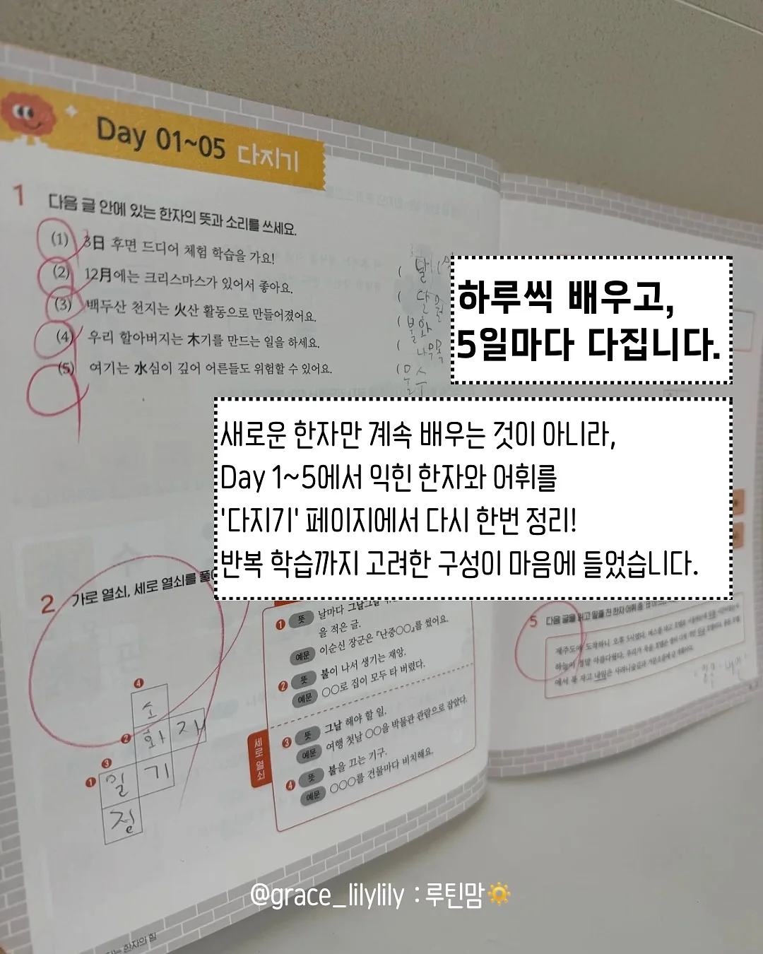 재생 비비 8