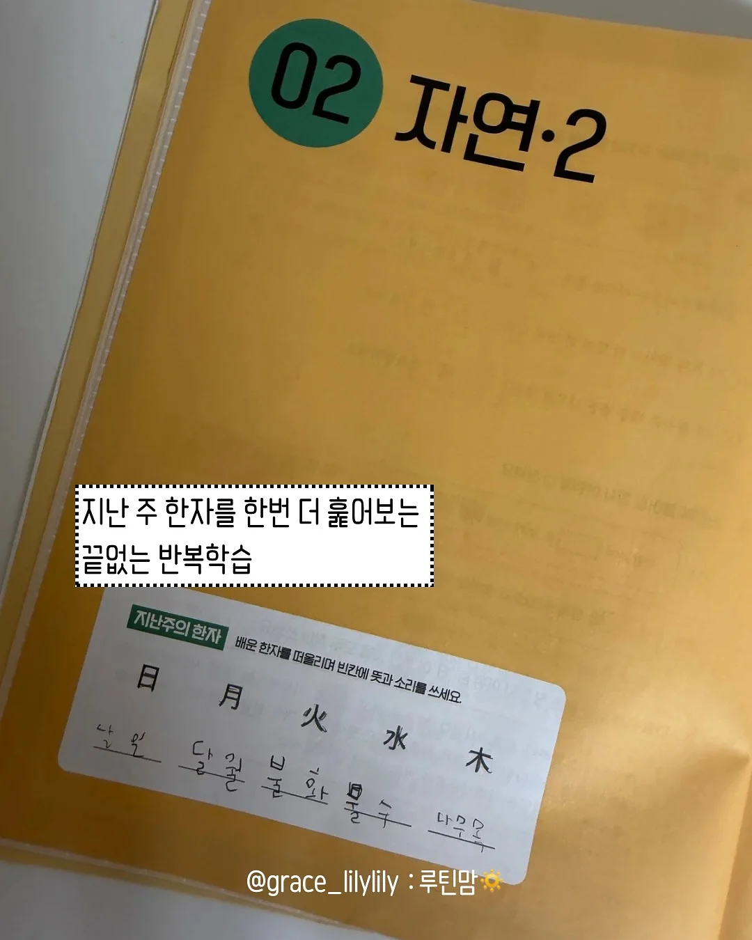 재생 비비 9