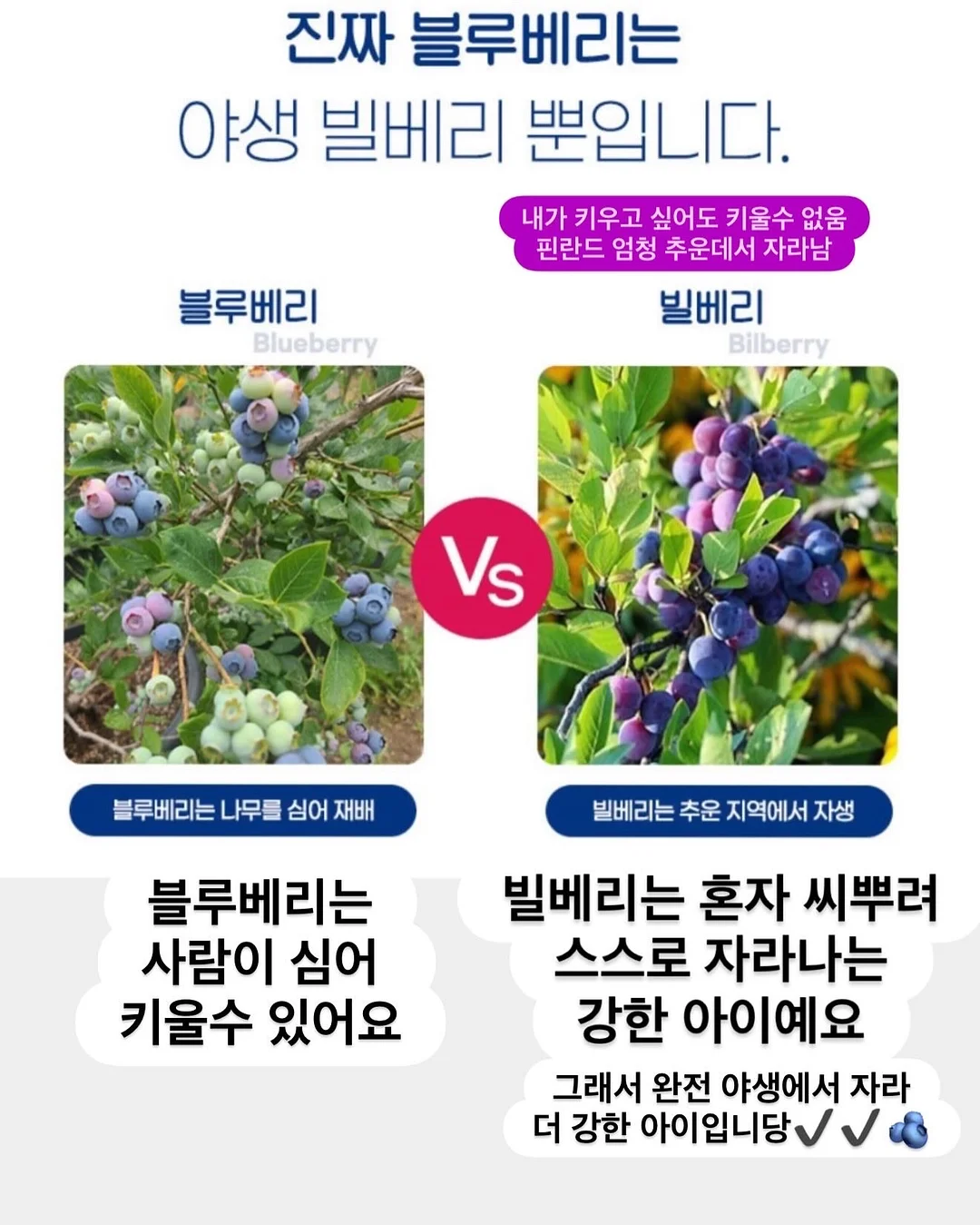 데일리 여름 상품 원피스 4
