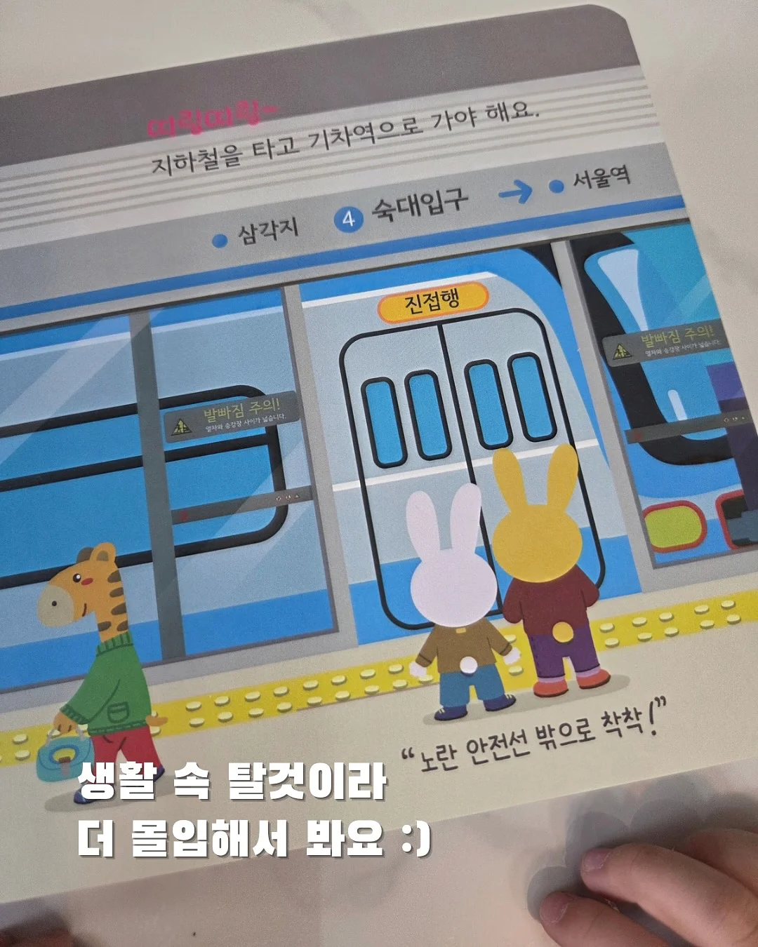 제주 한라봉/천혜향 11