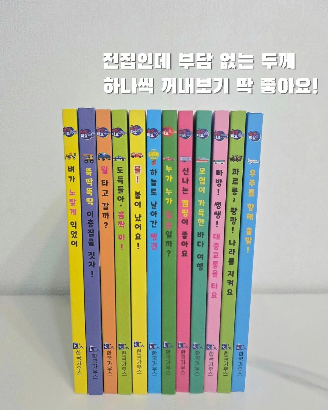 제주 한라봉/천혜향 9