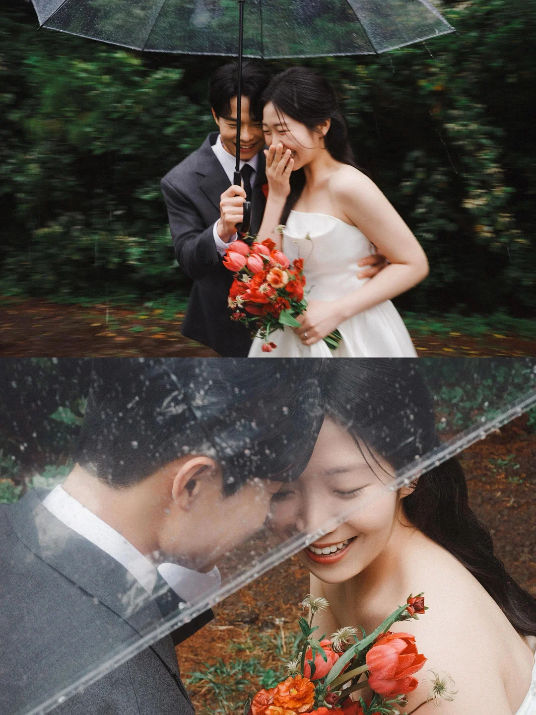 르니플로리 여름 양갱 1