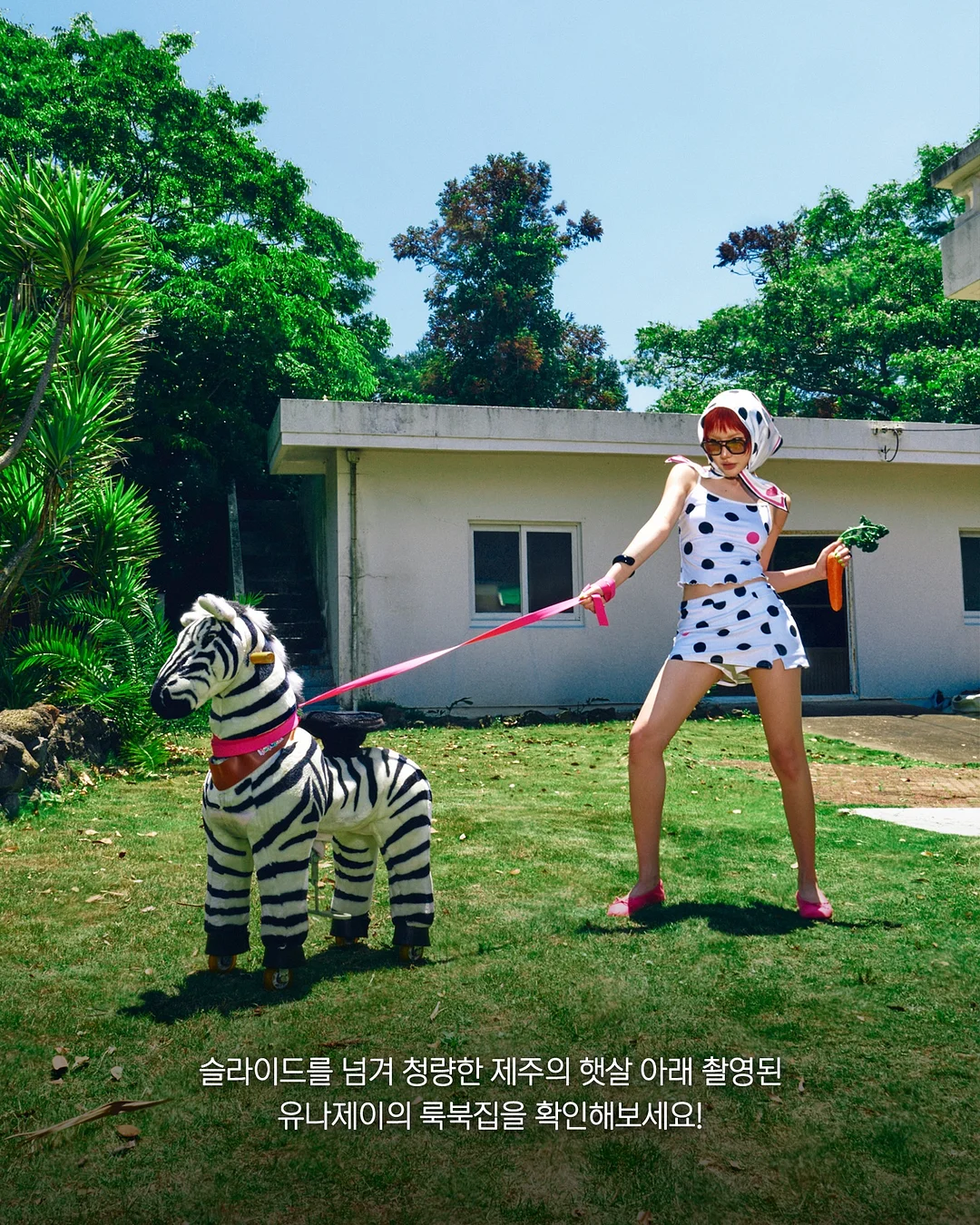 제이델링 금화케이크 7