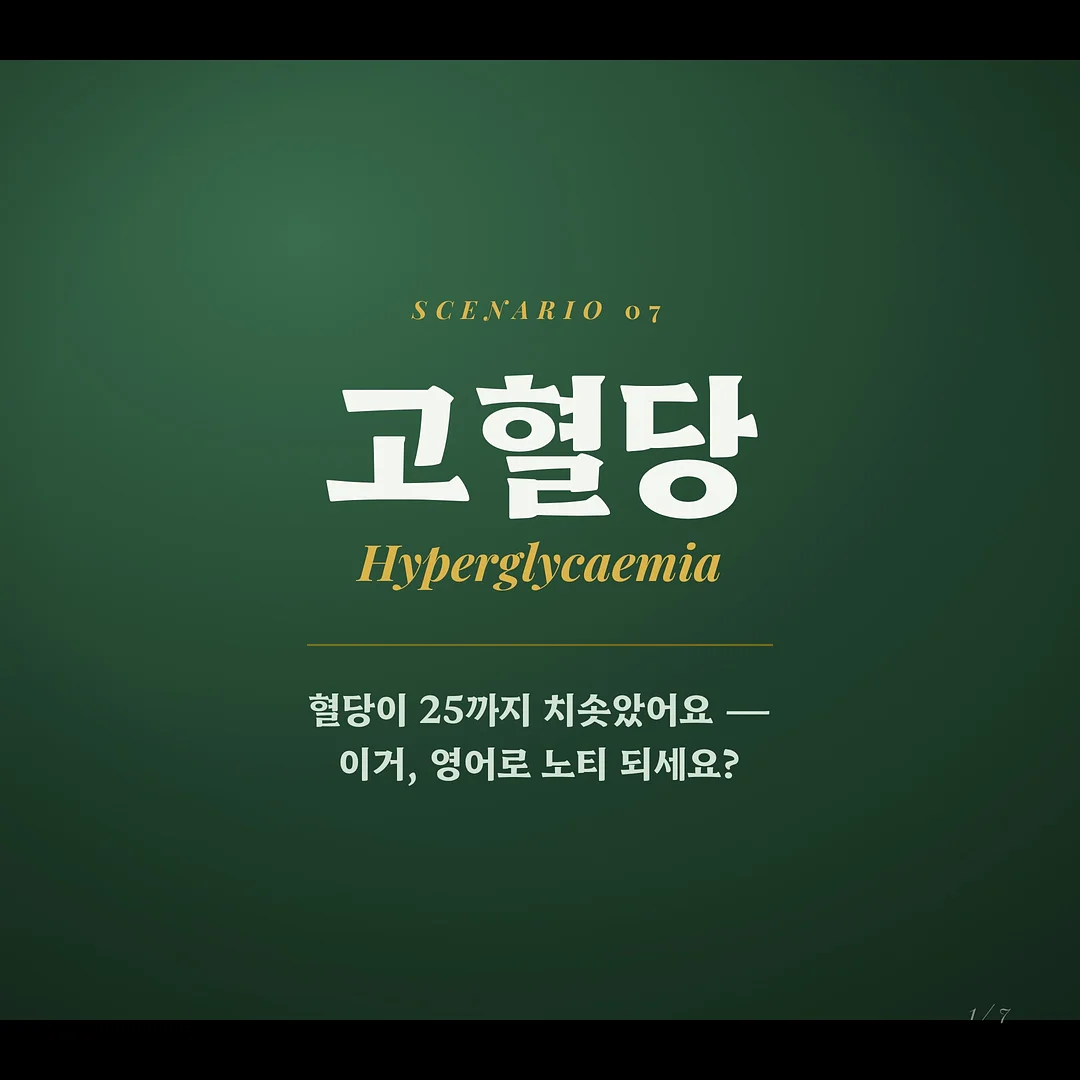양파 보관 용품 1