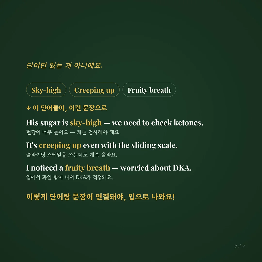 양파 보관 용품 3