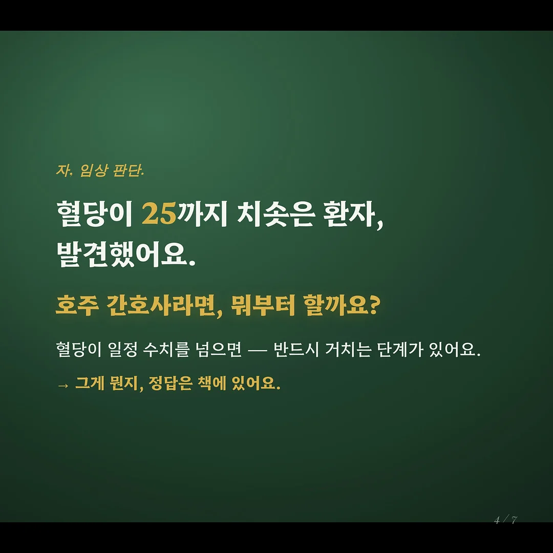 양파 보관 용품 4
