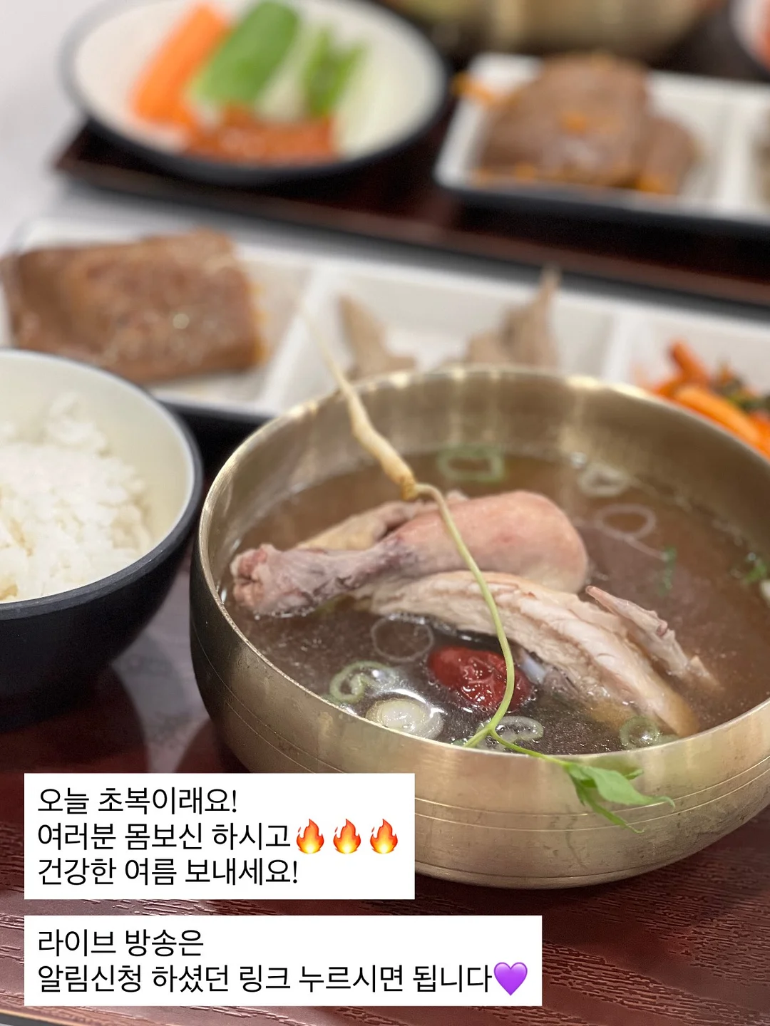 리사세트 17