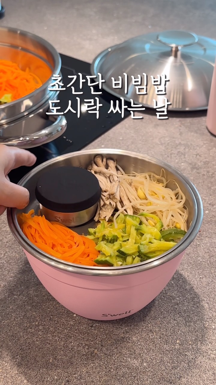 솔렌보넷 영상포함패킷