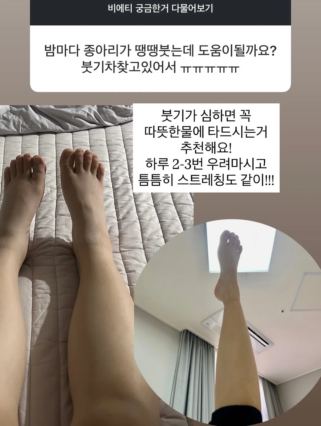 다이소 비닐우산 5
