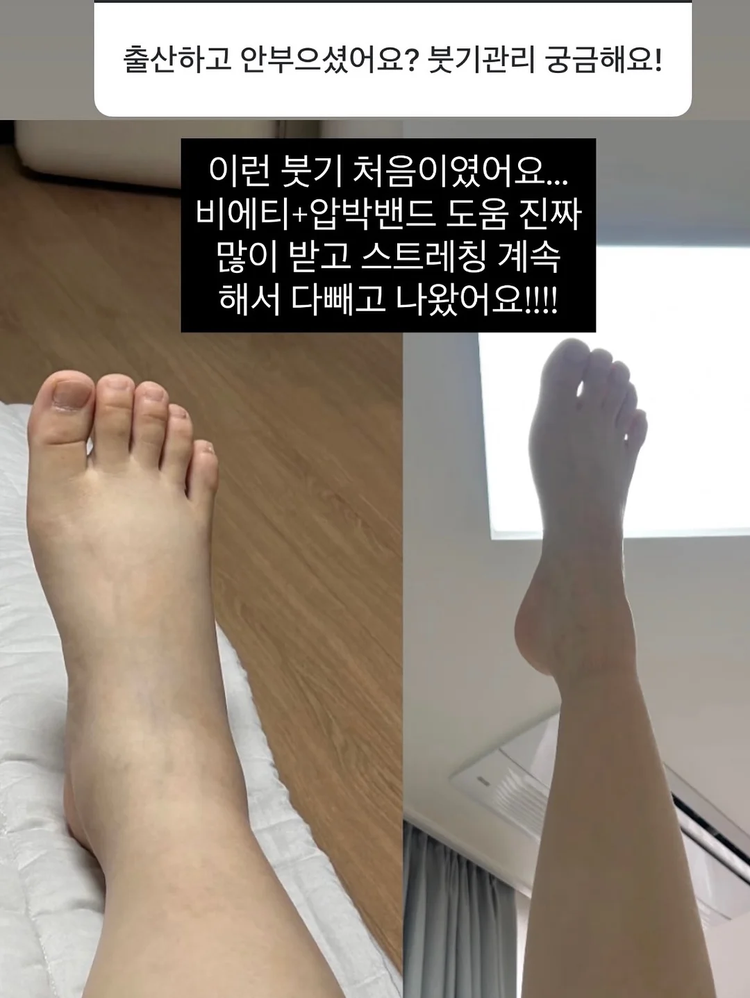 다이소 비닐우산 9