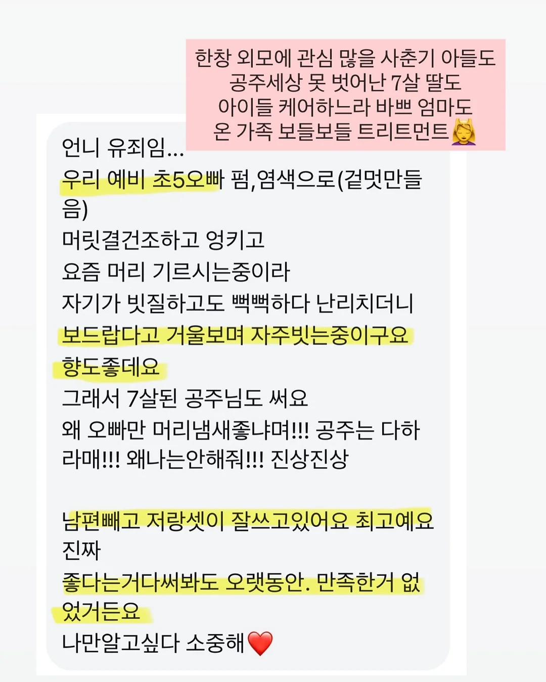 블러셔 2