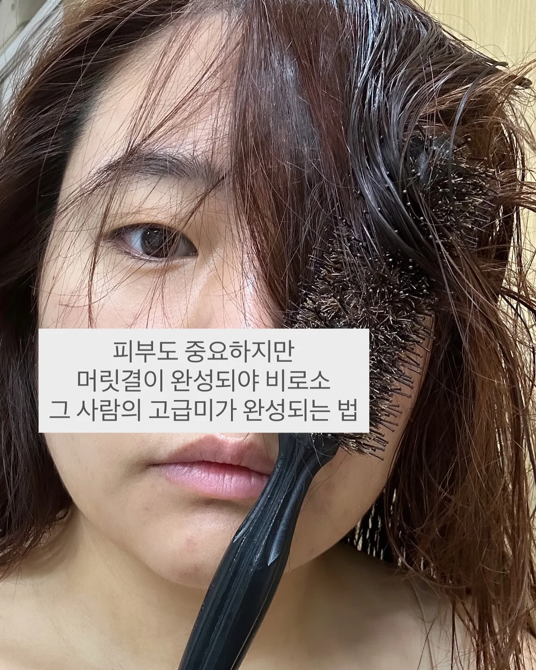 블러셔 10