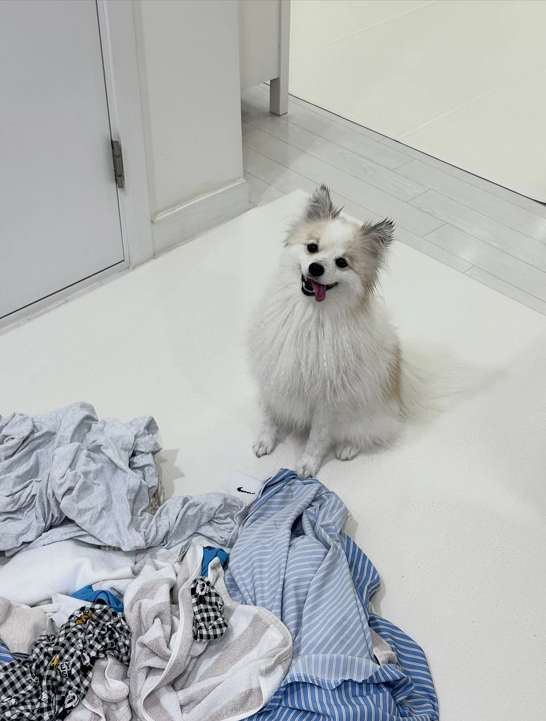 매실청 2