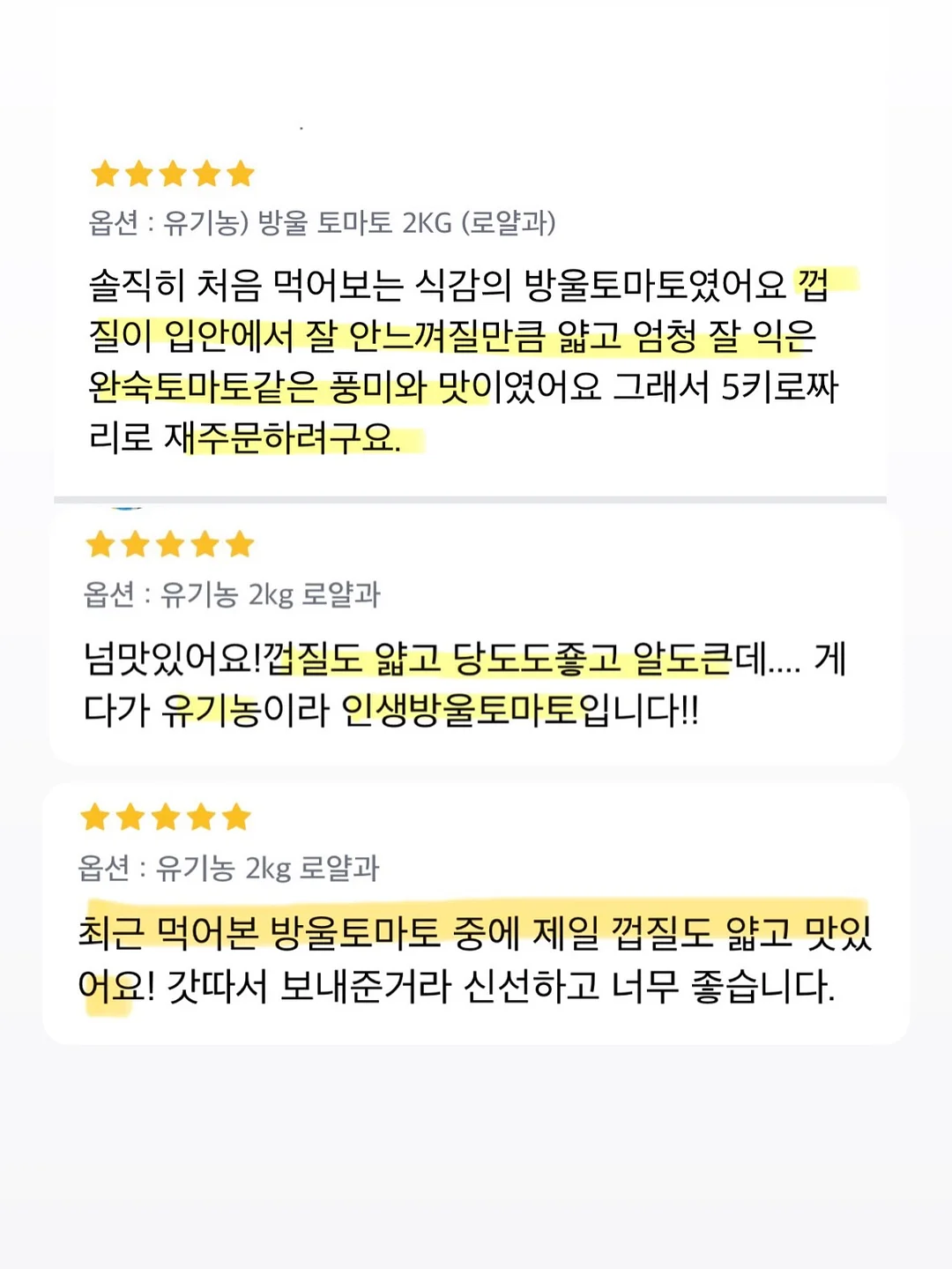 여름방학 독서퀴즈세트 5