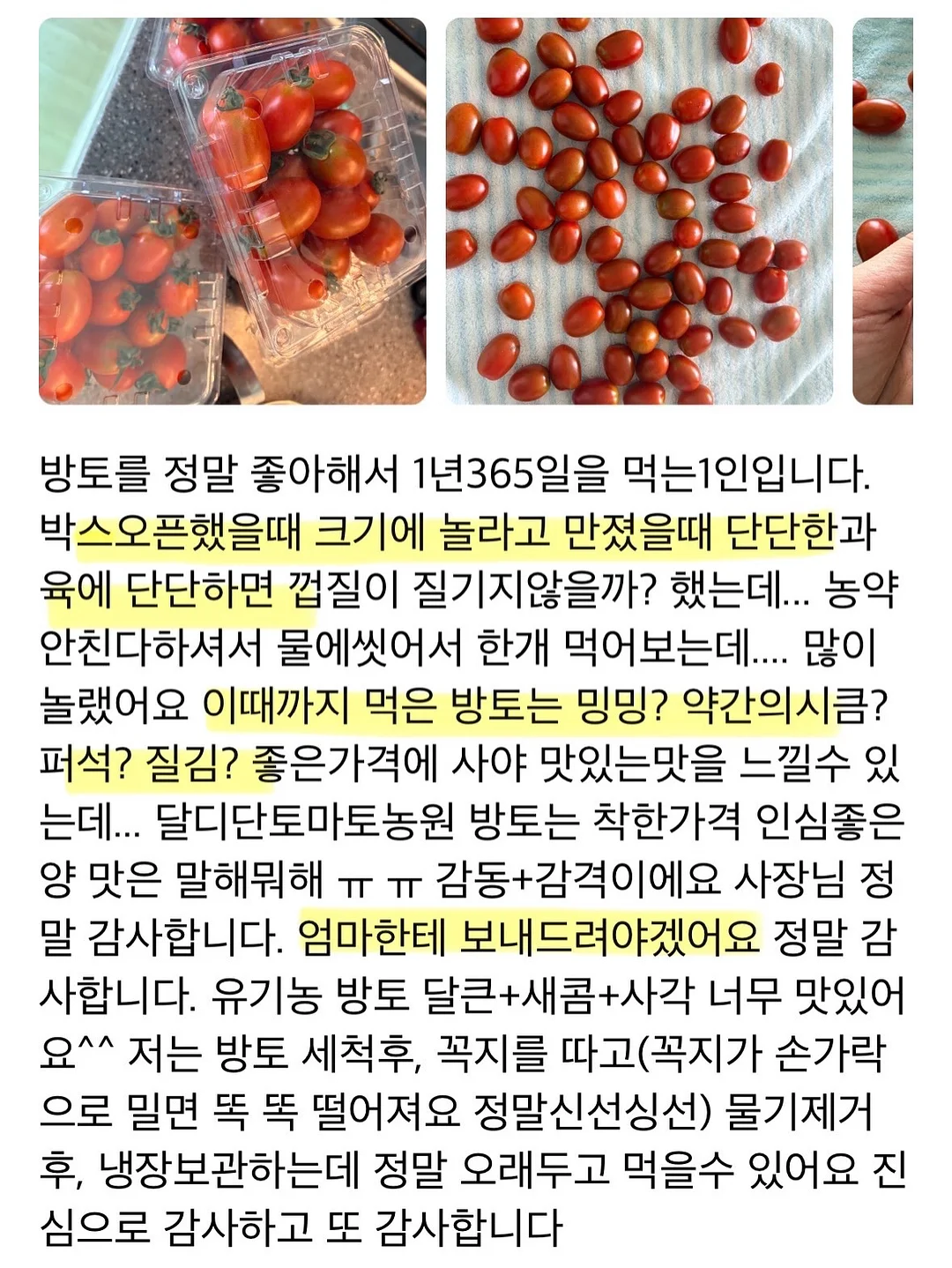 여름방학 독서퀴즈세트 6