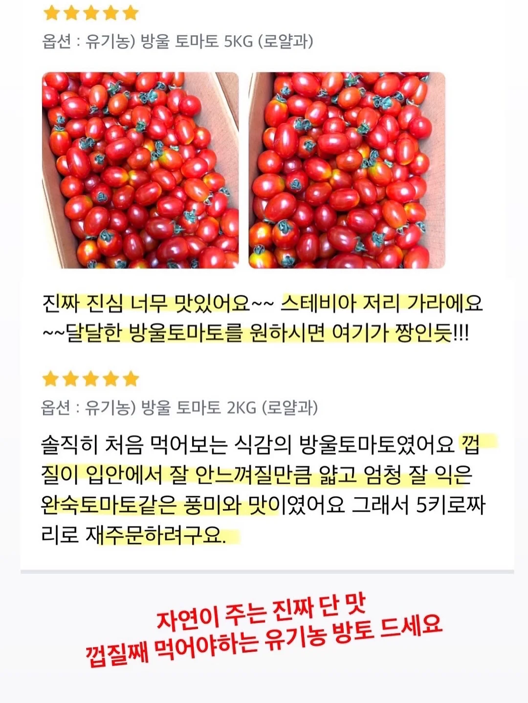 여름방학 독서퀴즈세트 7