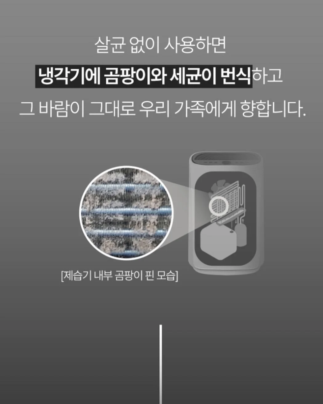 군 체험 이벤트 6