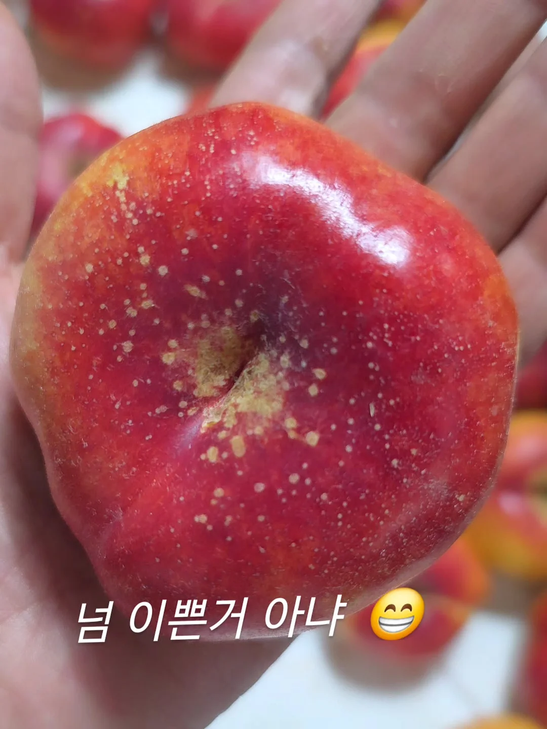 파라부트 미카엘 3