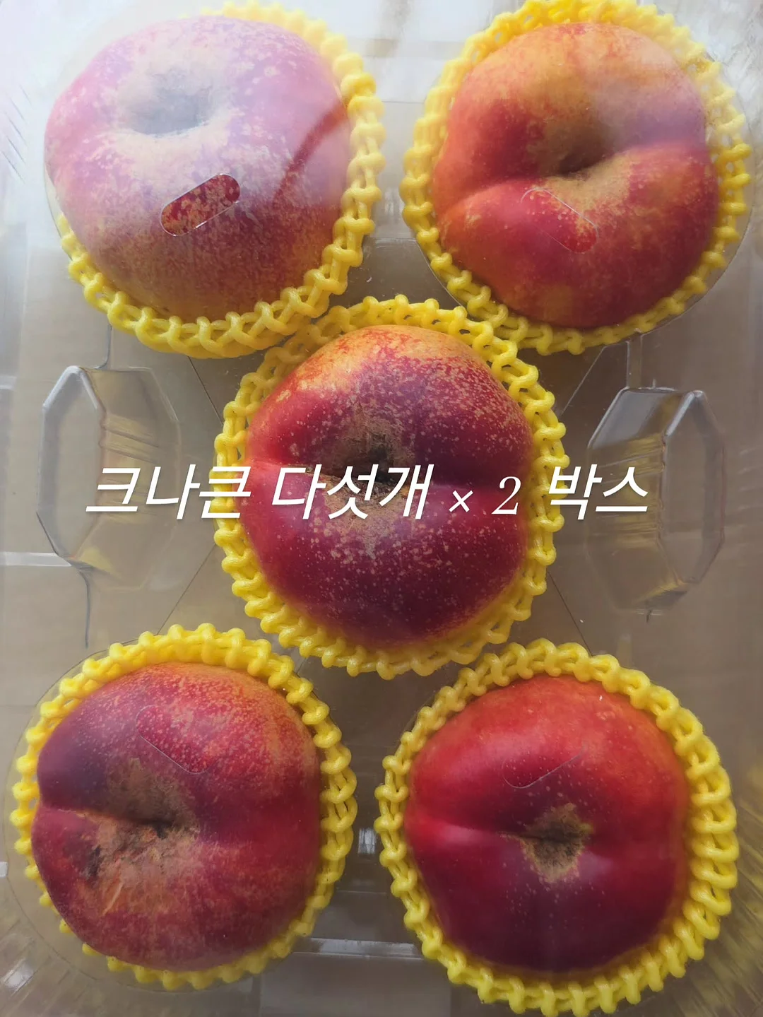 파라부트 미카엘 5