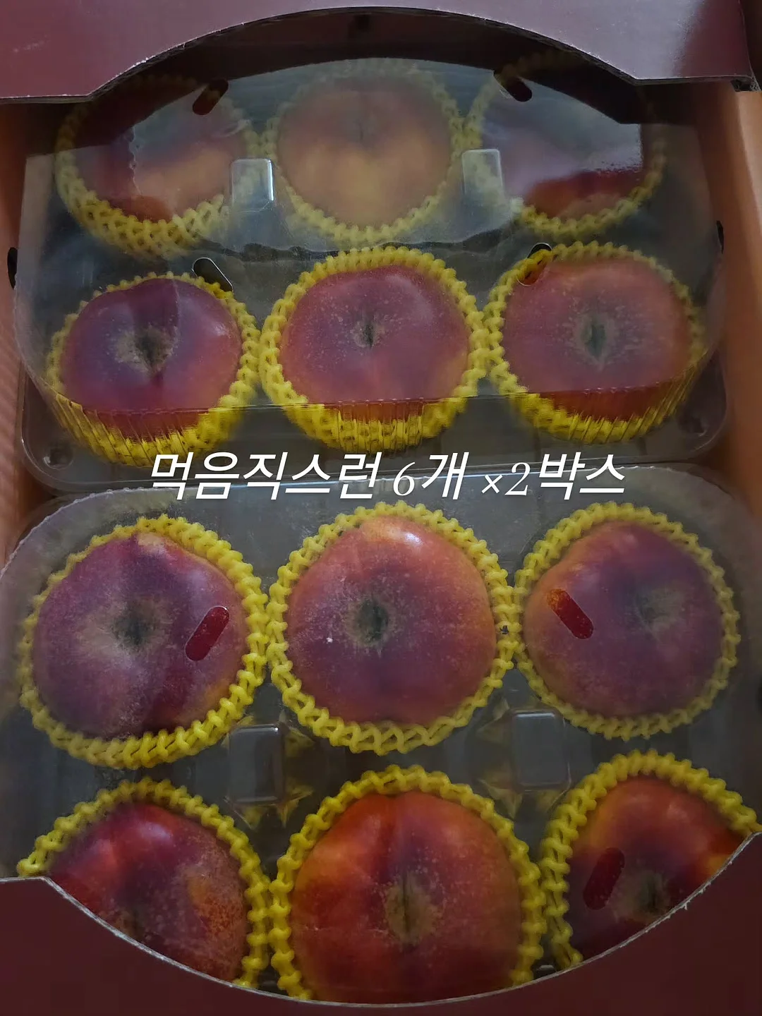 파라부트 미카엘 6