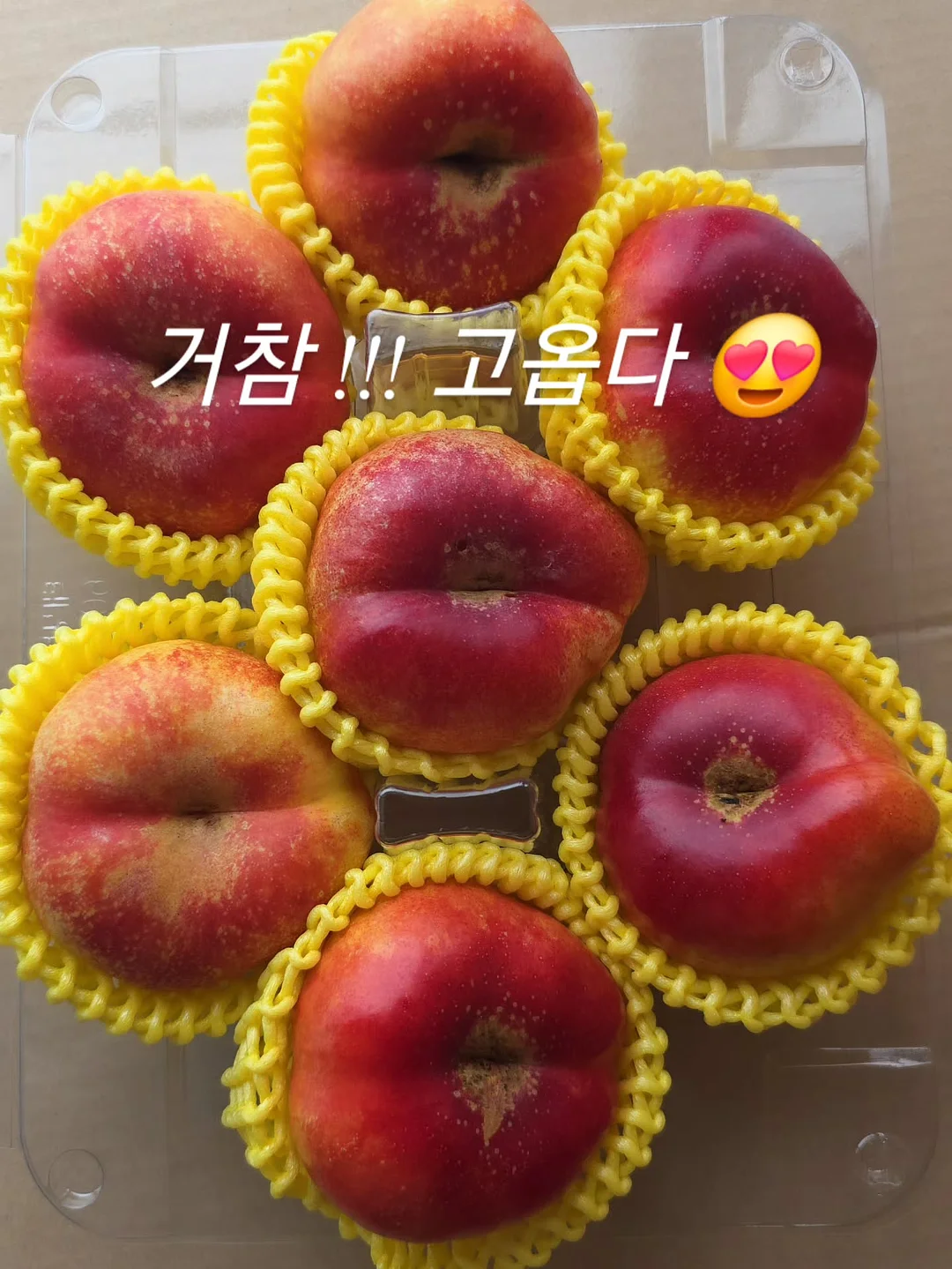 파라부트 미카엘 7