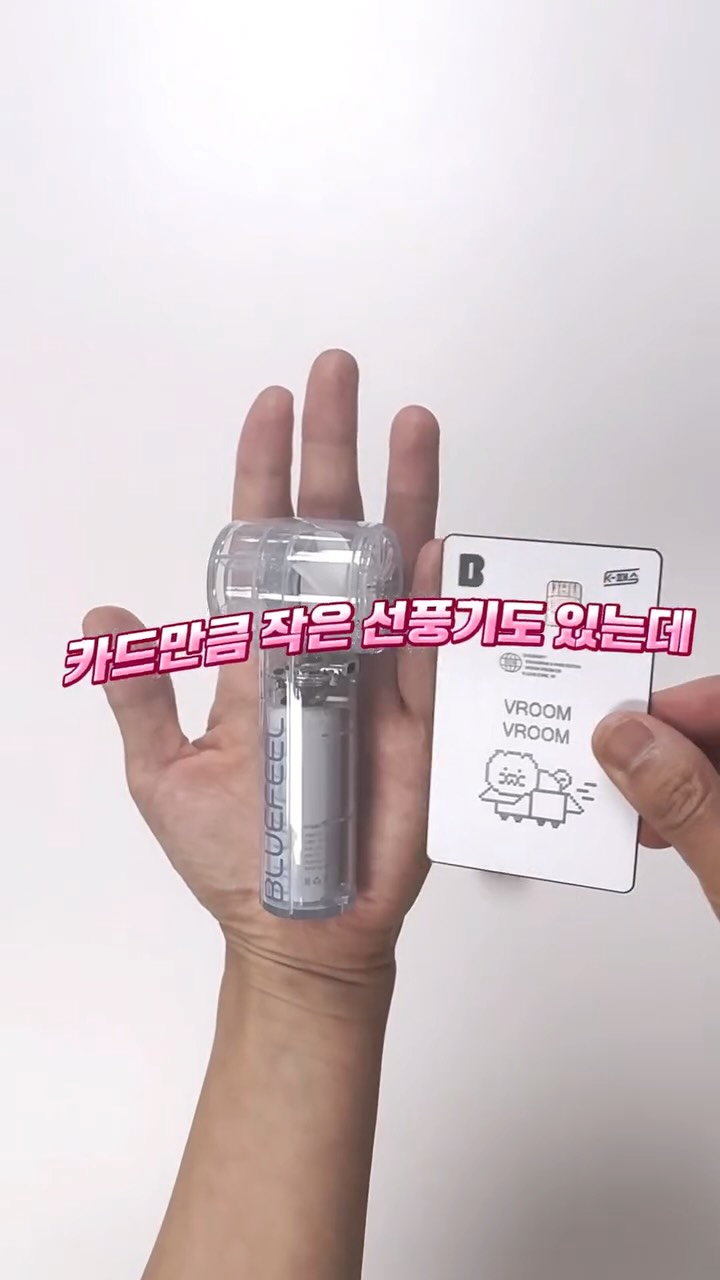 호야 식물