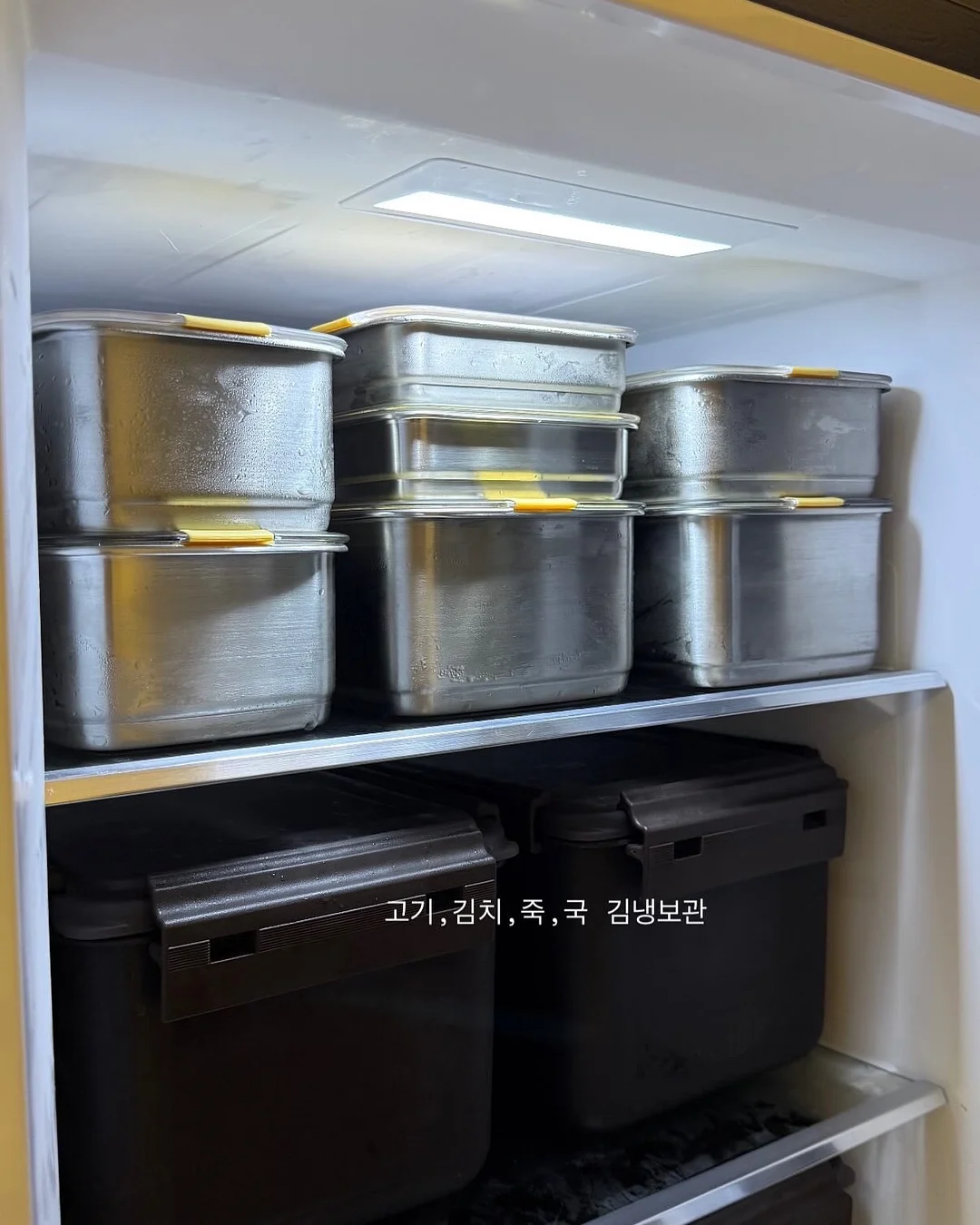 아르기닌 5