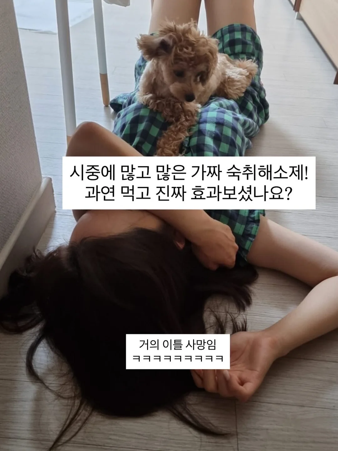 농사가위 3