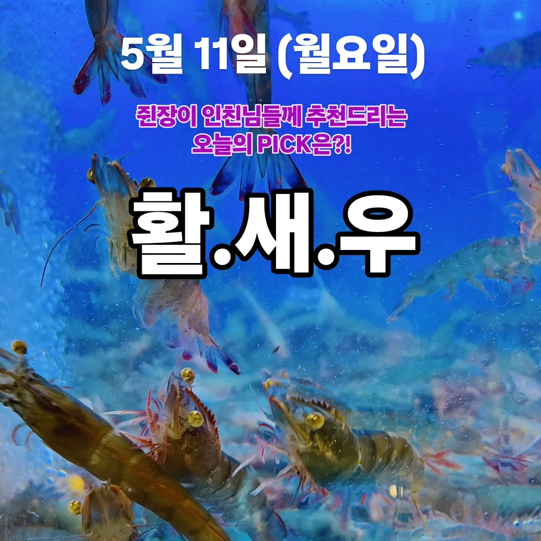 히알패치