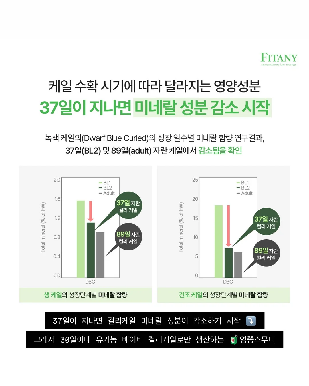 오토노스 TX370 의자 13