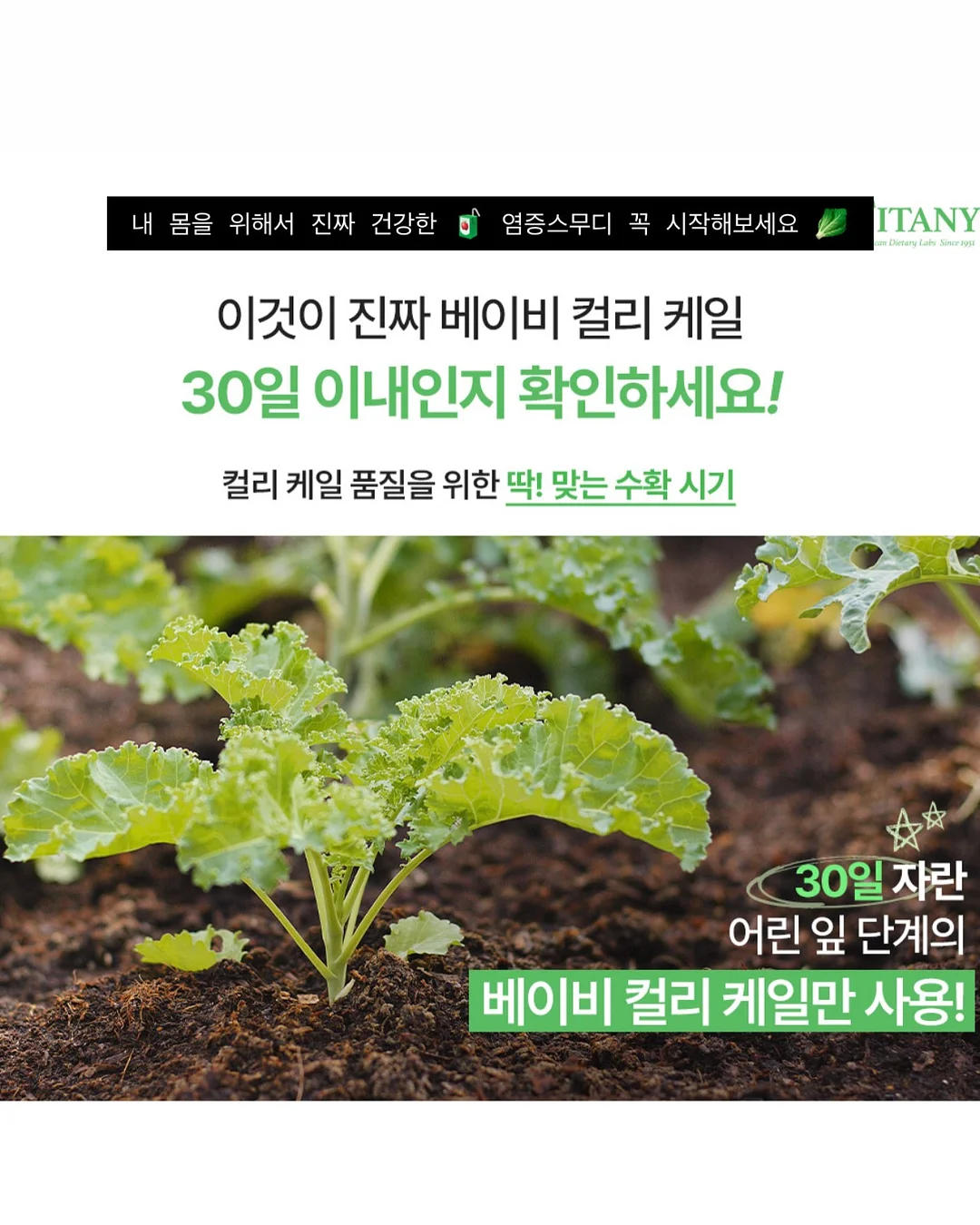 오토노스 TX370 의자 15