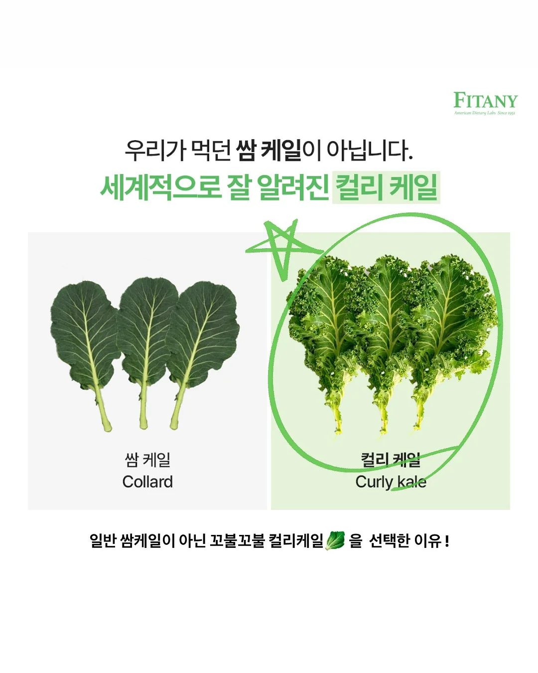 오토노스 TX370 의자 5