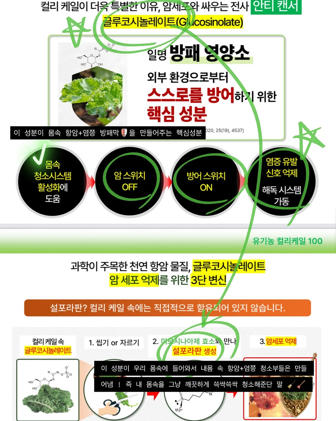 오토노스 TX370 의자 9