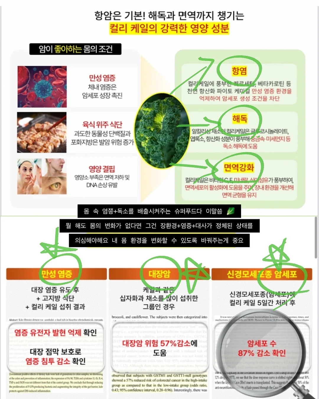 오토노스 TX370 의자 10