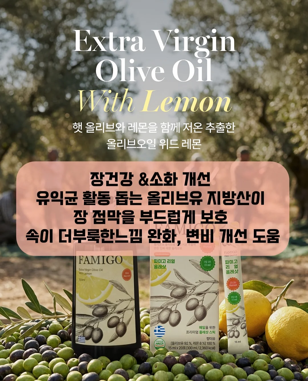 피클 딥 소스 6